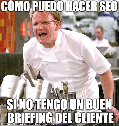 briefing seo cliente