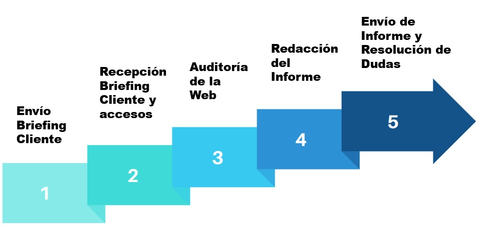 pasos en una auditoria seo web