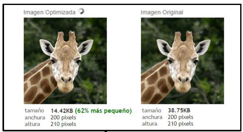 imagenes seo bajar peso