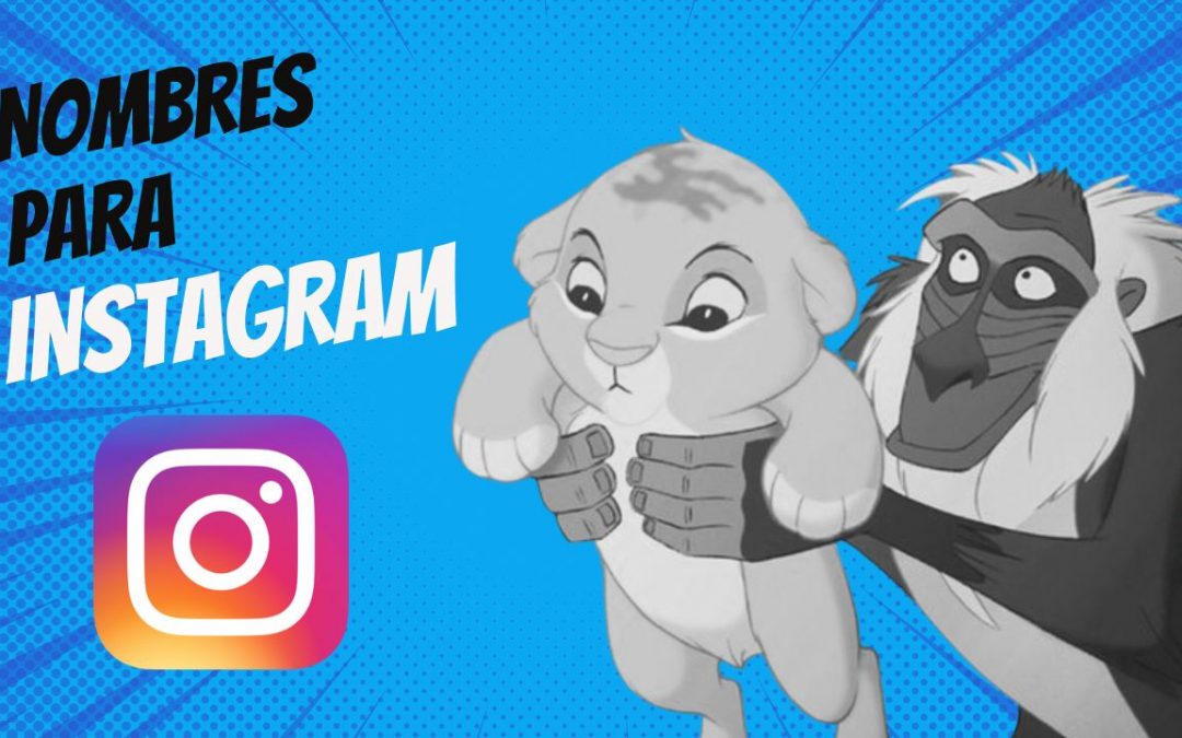 Nombre cuenta de Instagram