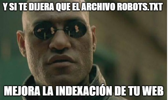 archivo robots seo meme