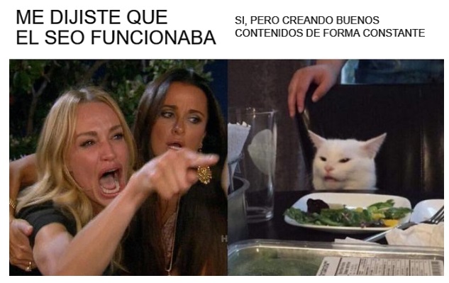 meme seo funcionan