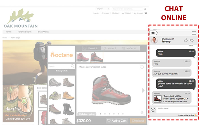 chat online alternativa a zopim